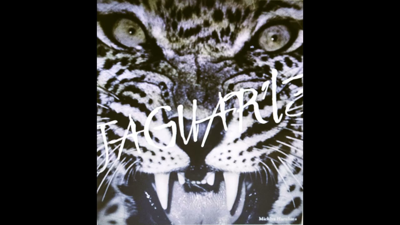 JAGUAR  ' 13        　　  春畑道哉