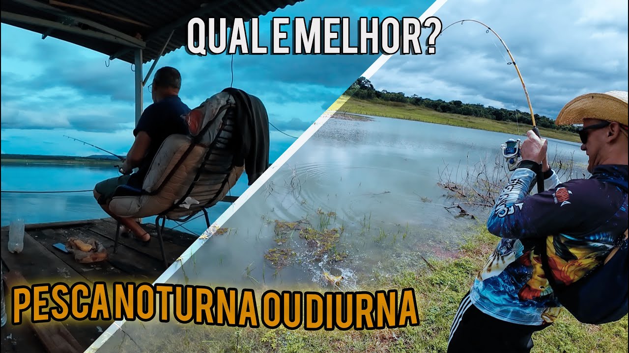 É MELHOR PESCAR A NOITE OU DE DIA?
