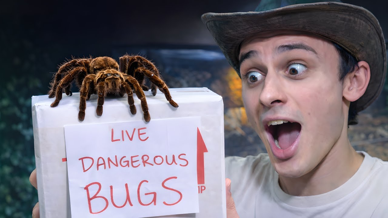 Unboxing (and touching) DANGEROUS Bugs!