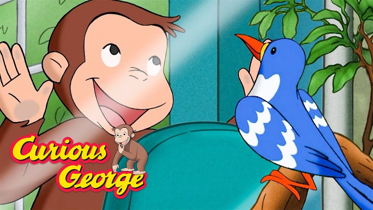 An Endangered Animal? 🐵 Curious George 🐵 Kids Cartoon 🐵 Kids Movies