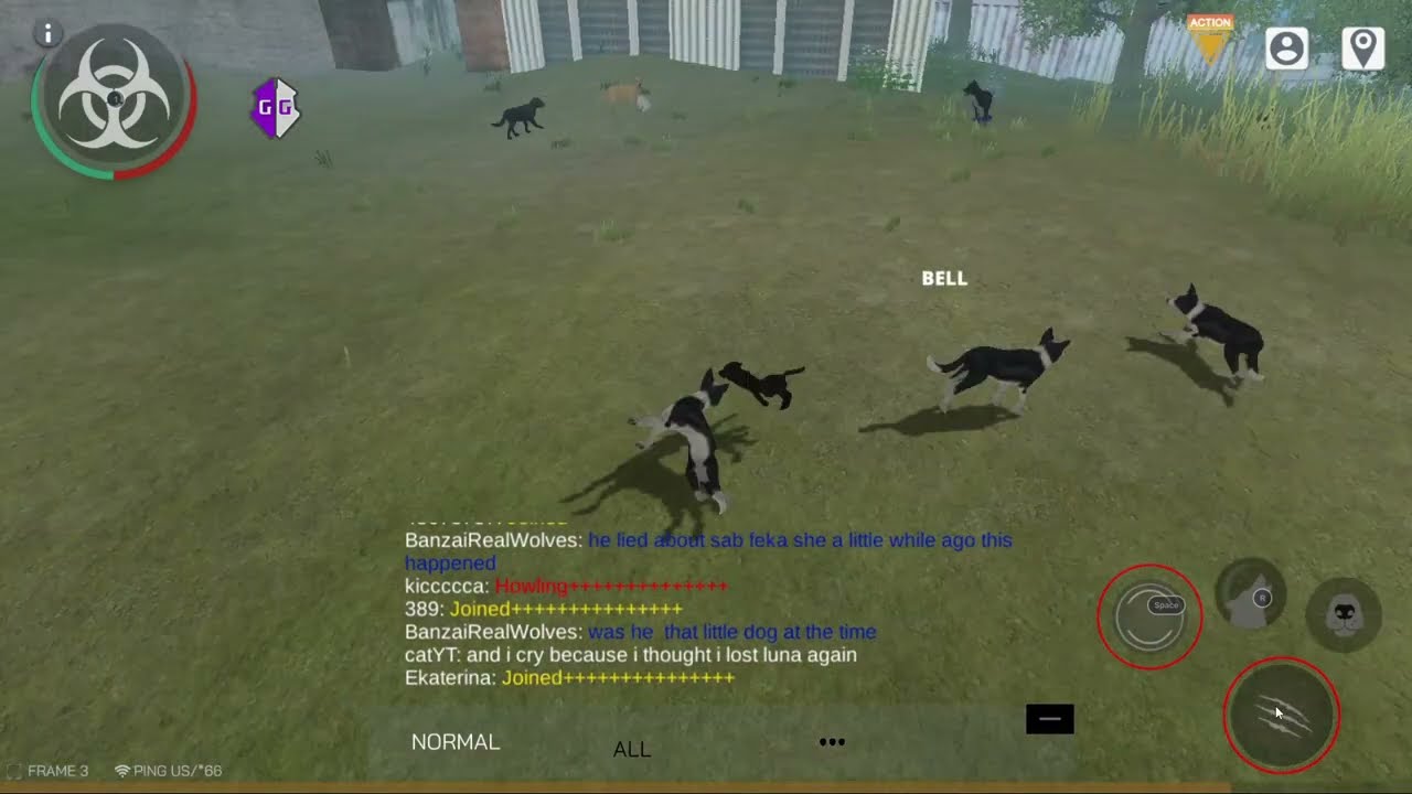 Halfassed Dog Online Video of Me Screwing Around