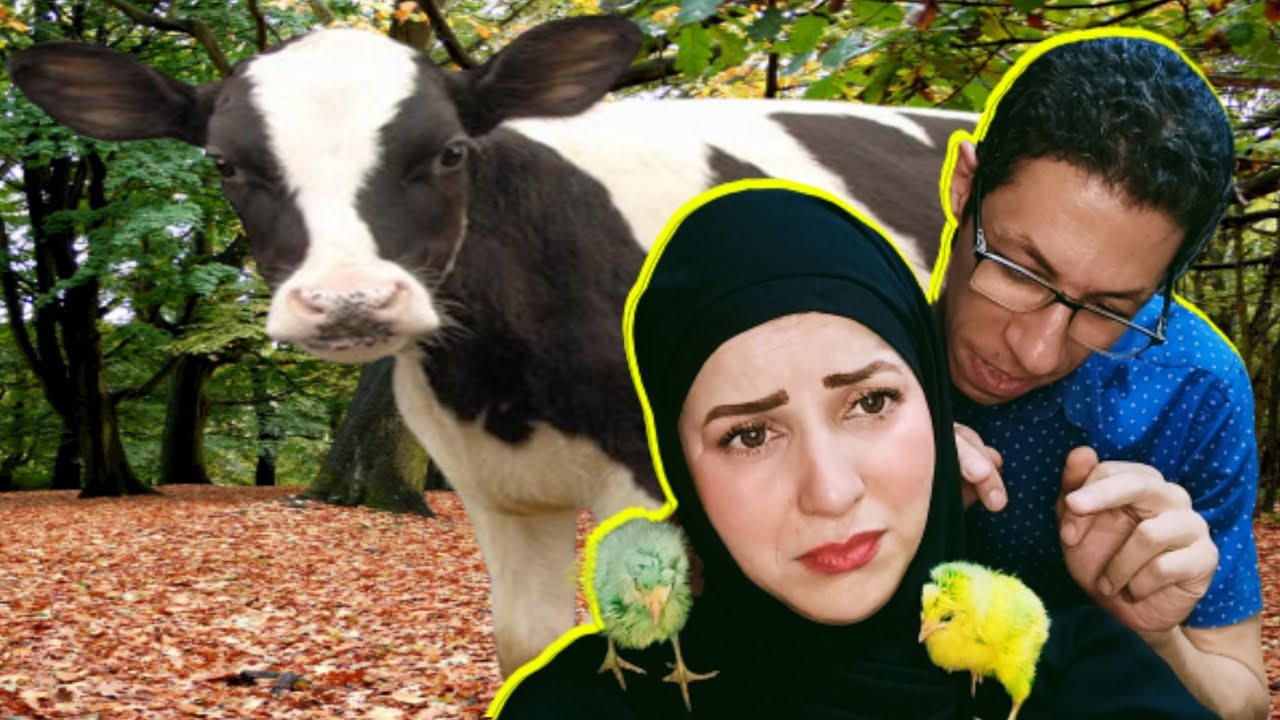 البخيل في العيد عمل البدع 🐏🐏🐏 