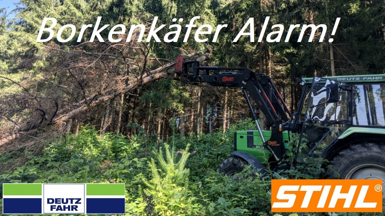 Vlog #1 Borkenkäfer Alarm! / Deutz DX 3.60 Stihl Wald
