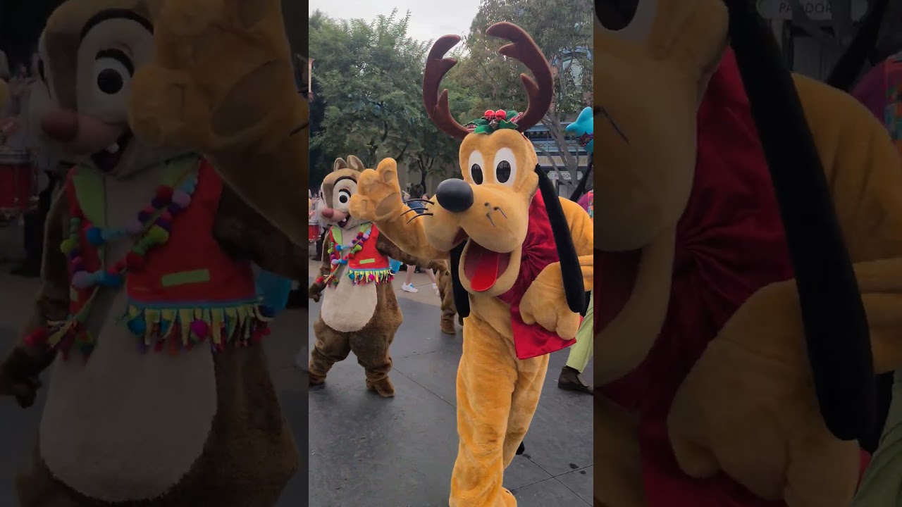 Disney - Viva Navidad  - Street Party - Disney California Adventure Park 