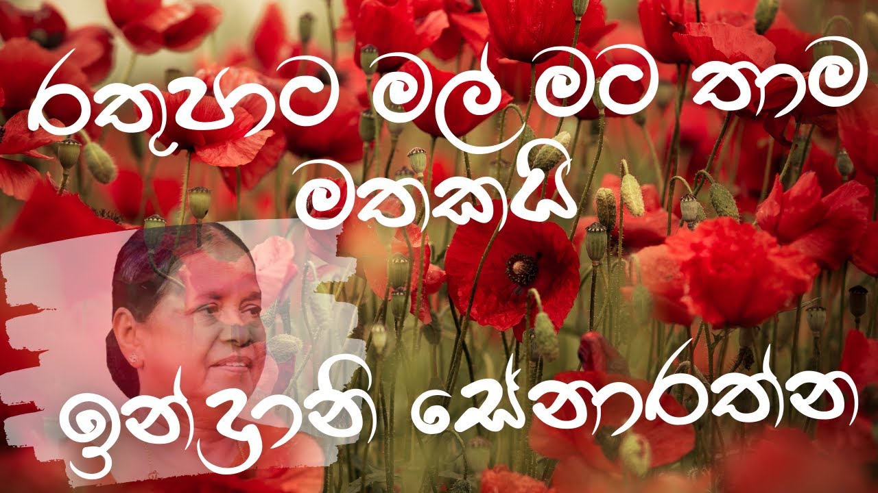 රතුපාට මල් මට තාම මතකයි-ඉන්ද්‍රානි සේනාරත්න{ Rathupata Mal-Indrani Senarathne}