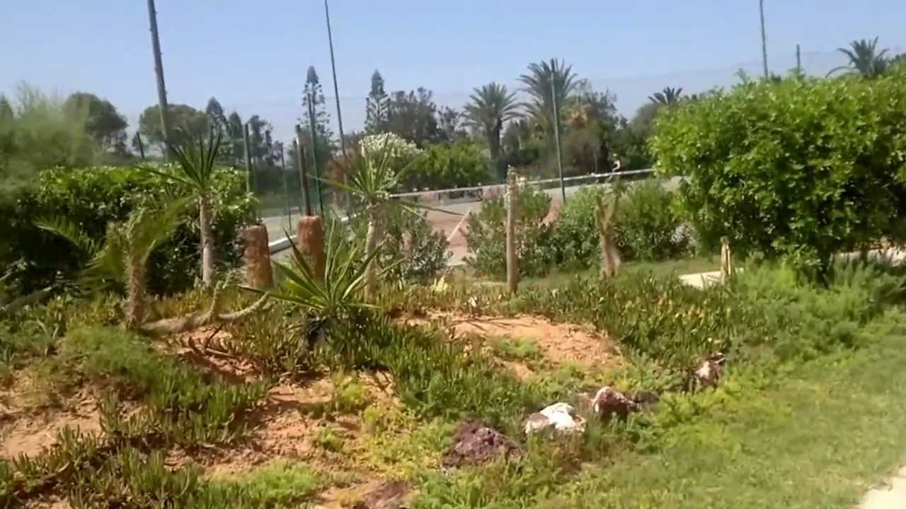 Caribbean world monastir 2012-06-19.mp4