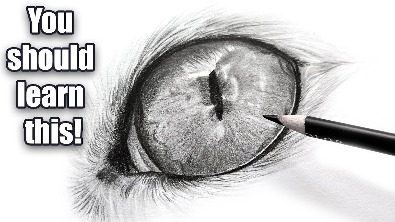 The importance of black and white | Cat eye drawing