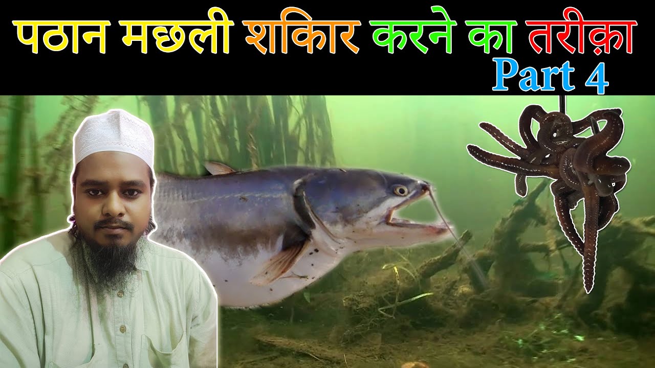 Pathan Machli Shikar Karne Per Tips Part 4 Last Part