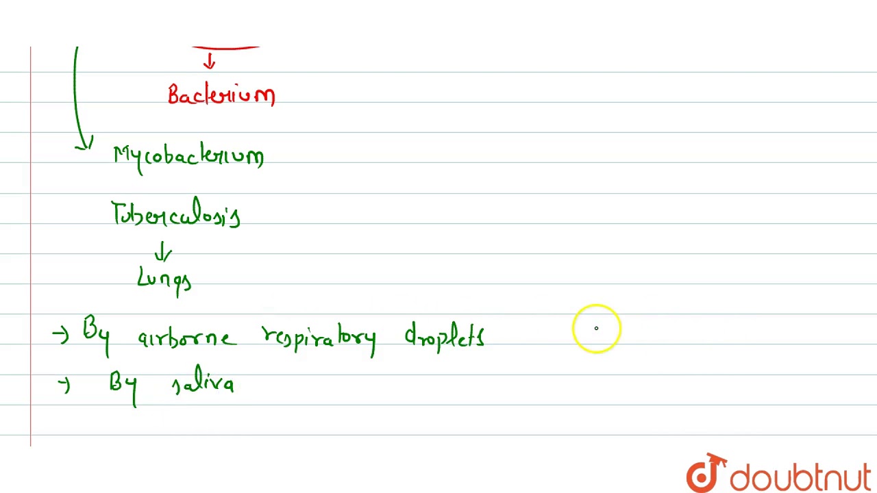 Name the causal organism of (a) Tuberculosis, (b) Typhoid
