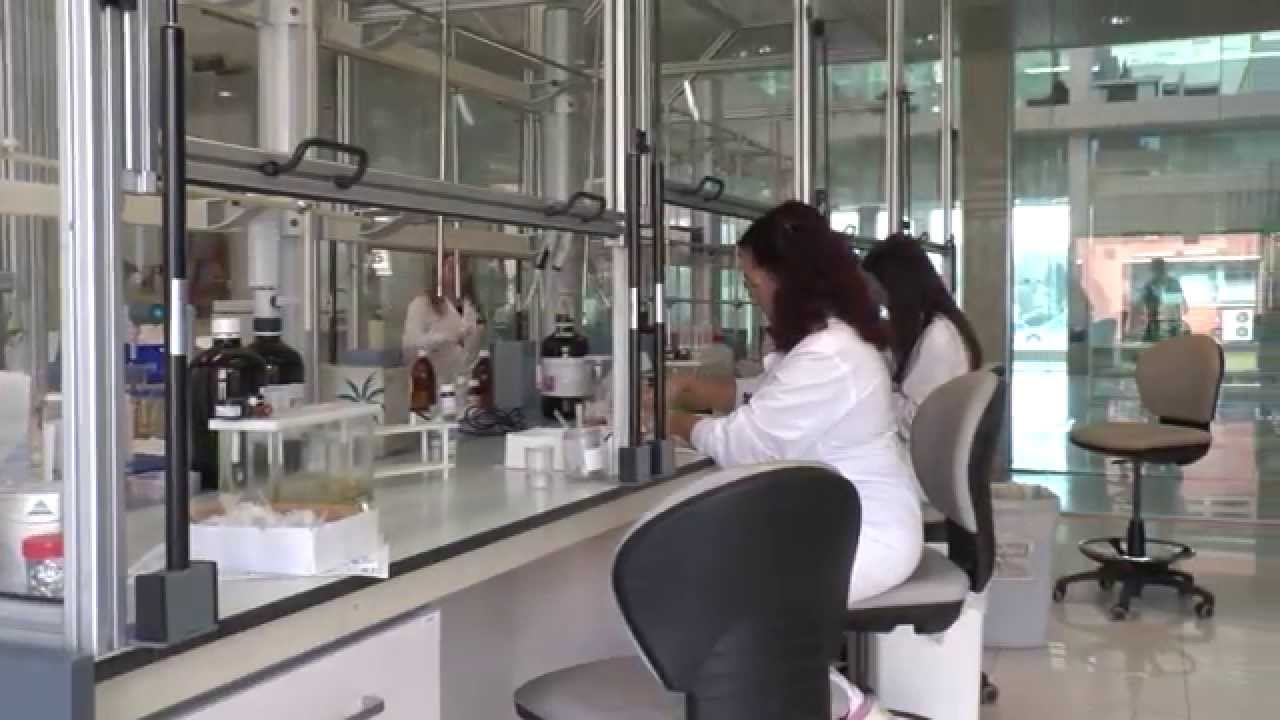 Ventajas de la microencapsulación para el sector alimentario, farmacéutico y cosmético