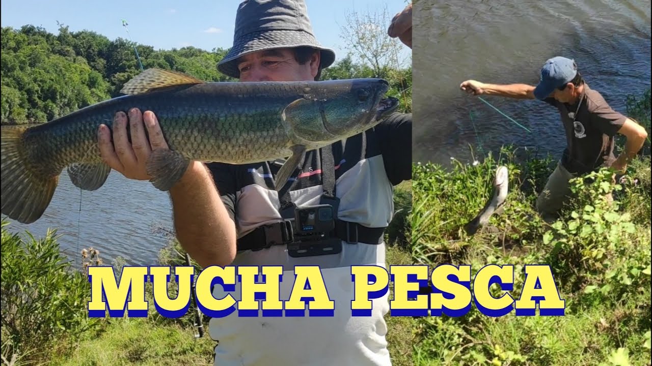 Hermosa jornada de pesca y aventura en Pesca en agua dulce