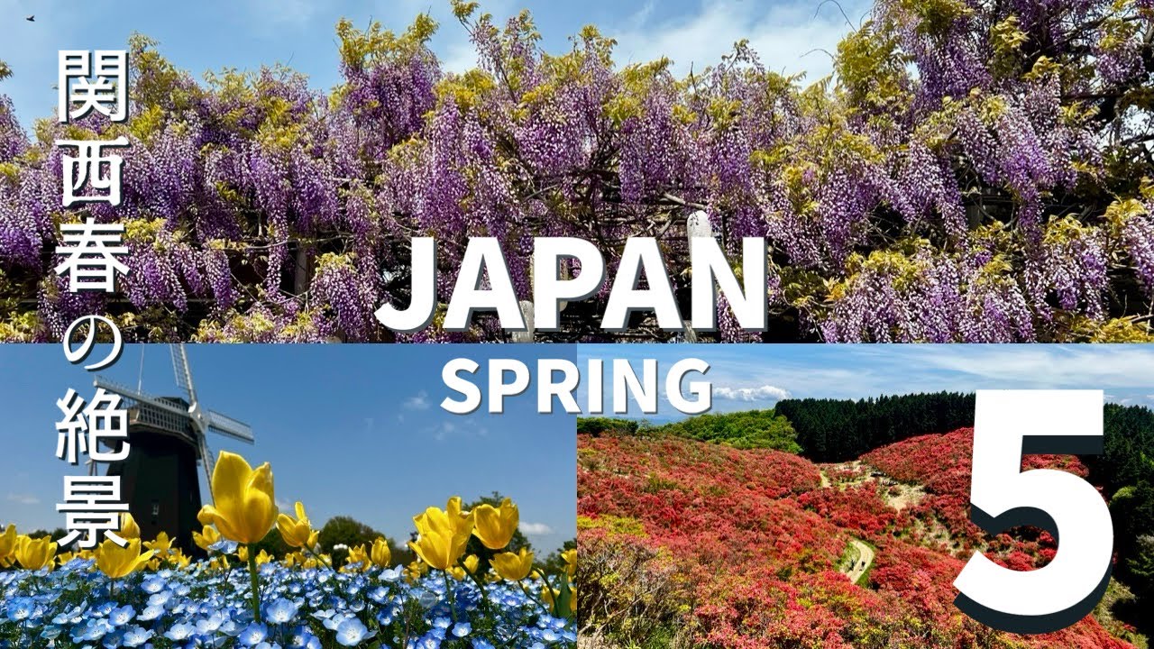 【春の絶景ランキング】桜以外も美しい関西の絶景５選