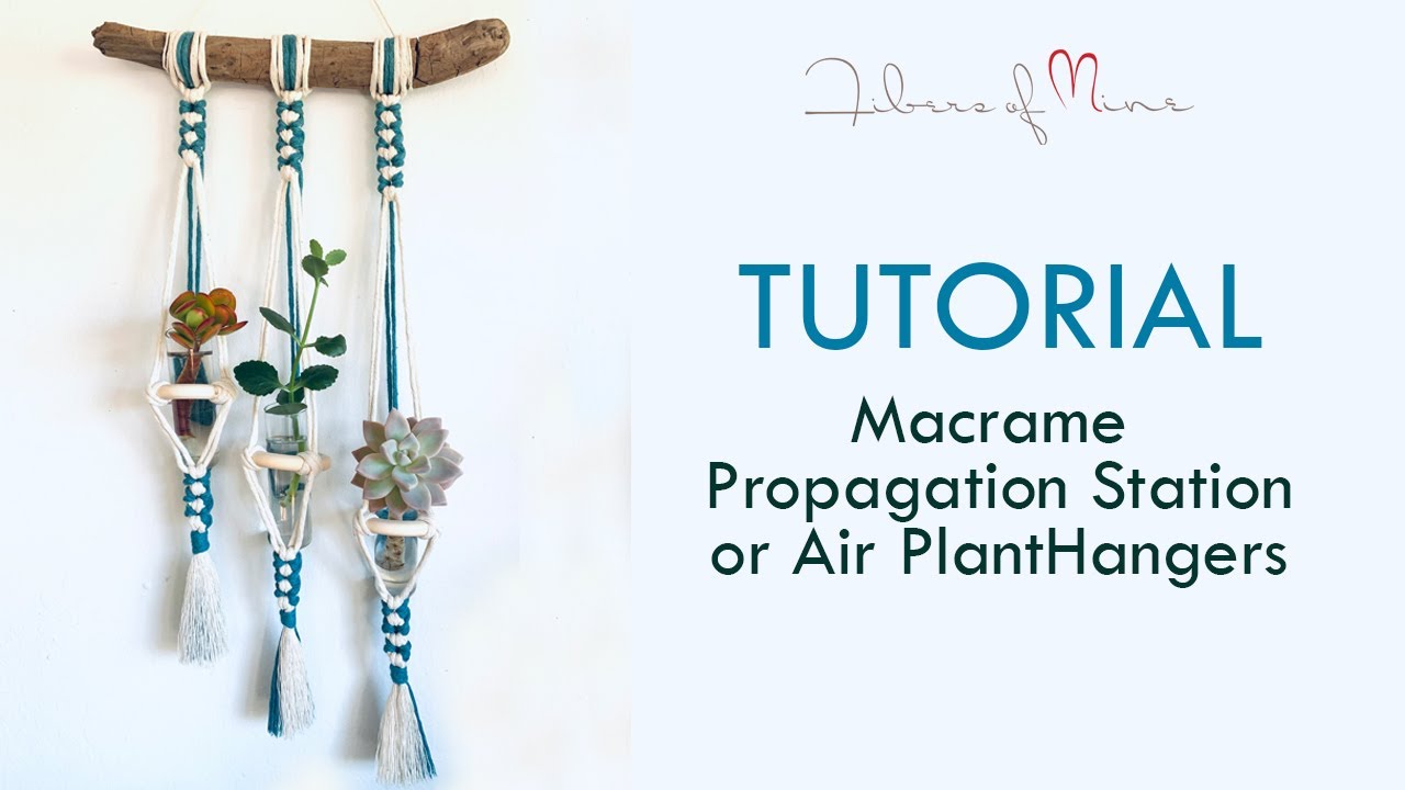 Easy Macrame Propagation Station or Air Plant Hangers Tutorial