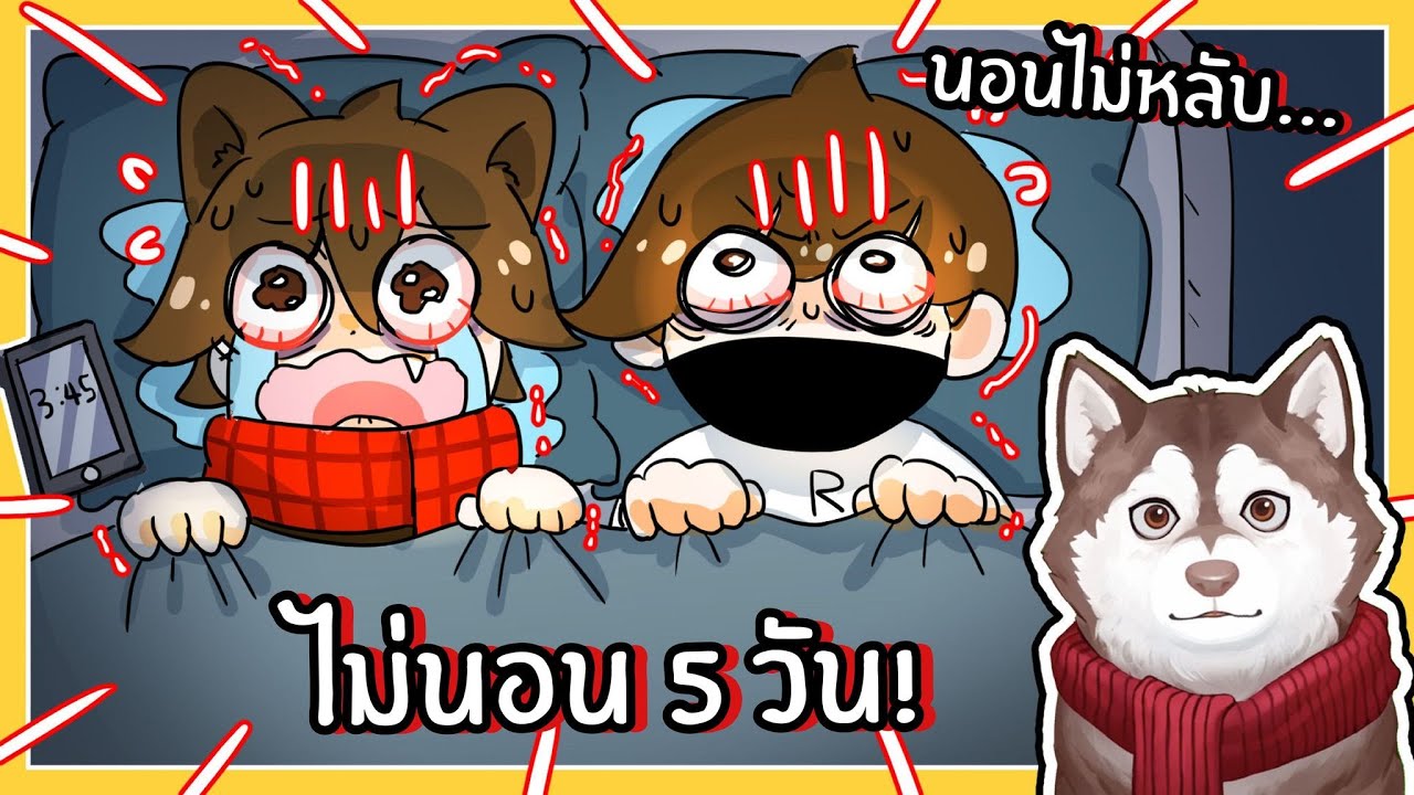 หมาสติแตกไม่ได้นอน5วัน! เกิดอะไรขึ้น? (Insomnia Roblox)