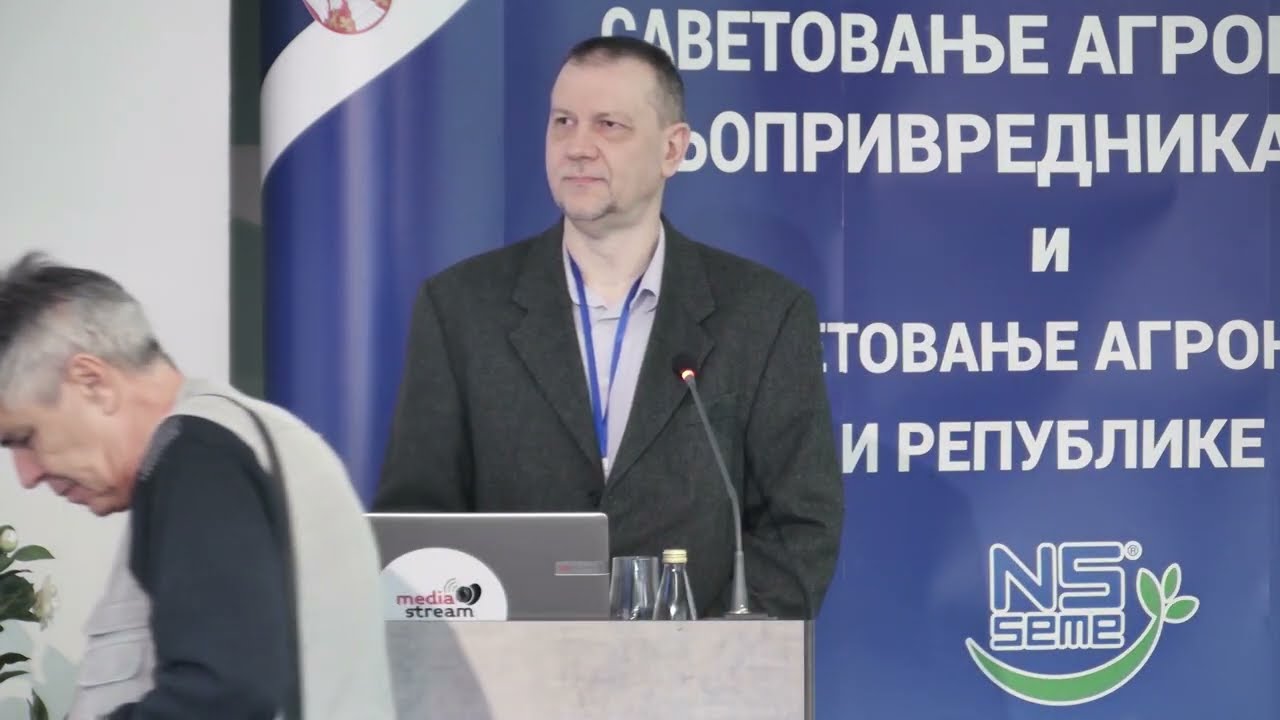 НС хибриди кукуруза - Потенцијал у сваком зрну