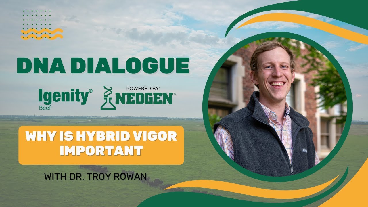 Troy Rowan why is hybrid vigor important