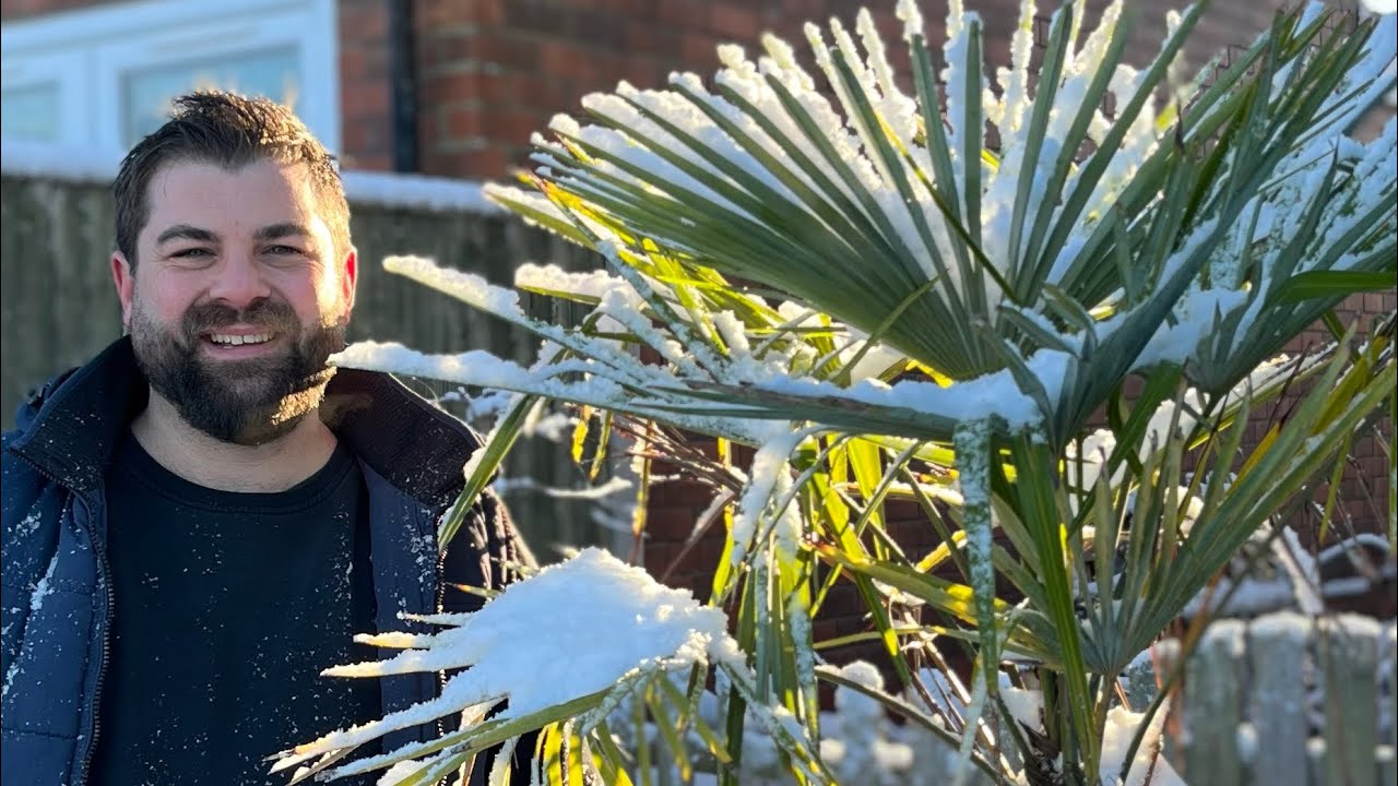 День 12. Опустошаем горшки! -8 градусов и очень снежный день. ☃️ ❄️ Садовые работы в январе #сове...