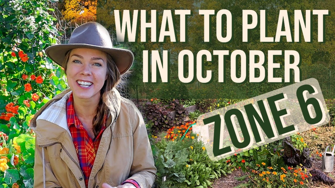 What To Plant in October Zone 6