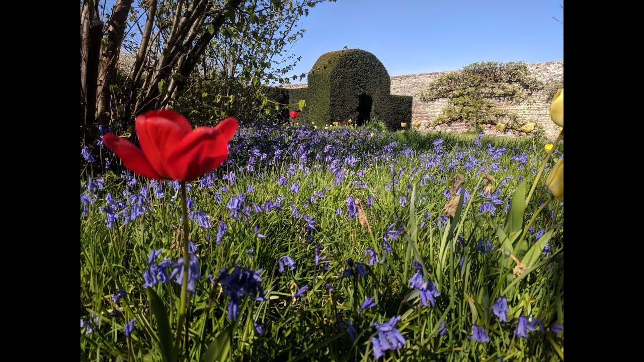 April 2020 in the Gardens at Penshurst Place