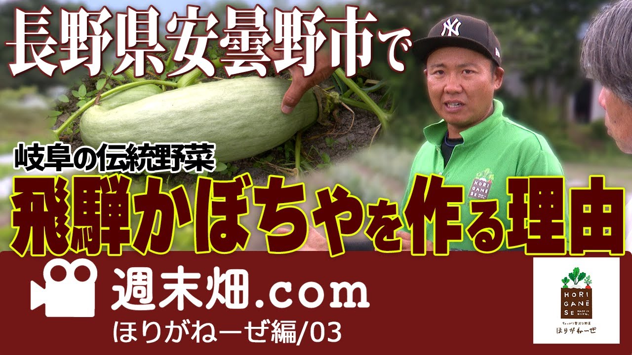 西洋野菜と伝統野菜 | セロリアック | 飛騨かぼちゃ | ほりがねーぜ03