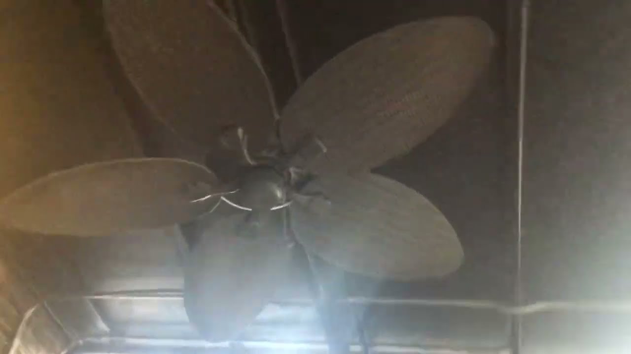 X4 Honeywell Palm Island 52&rdquo; Ceiling Fans (GREATEST HITS REMAKE 2)