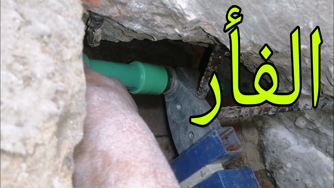 تعلم السباكه/ اصلاح خط مواسير عموميه الفأر دمرها