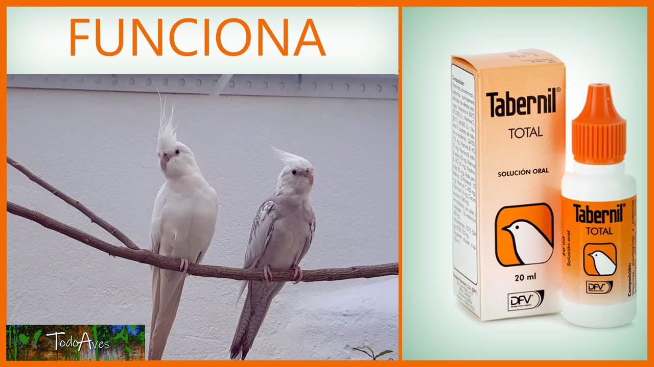 🐤 TABERNIL total. VITAMINAS para PAJAROS 🐦🐦🐤