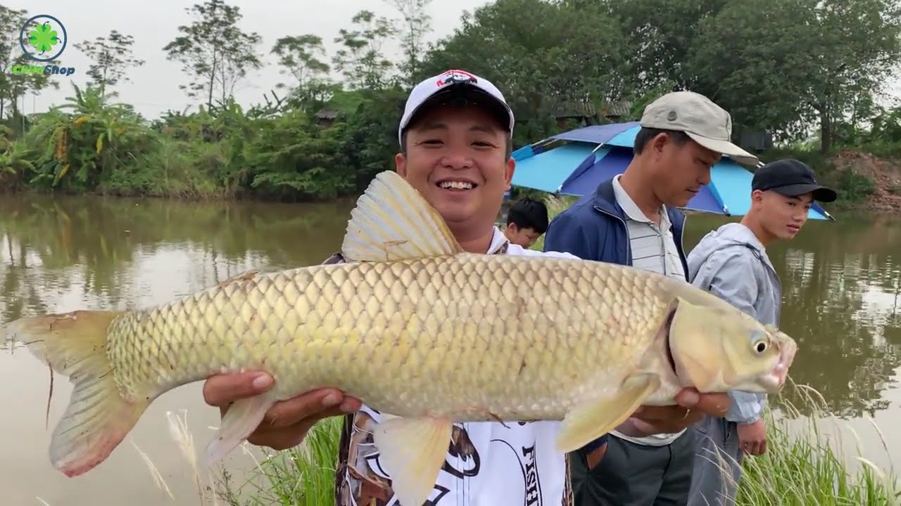 AO CÁ BỎ HOANG PHẦN 2 | ANH EM ĐOÁN TÔI CÓ ĐƯỢC 30KG KHÔNG??