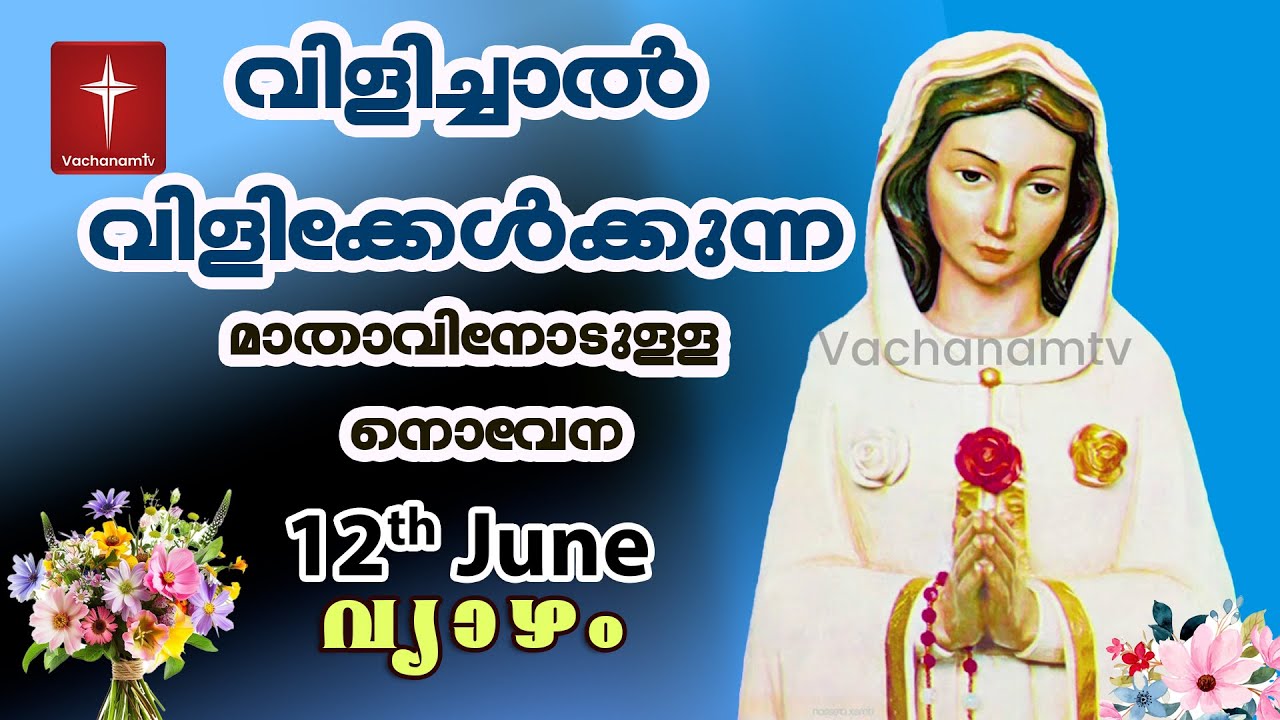 🔴 LIVE - വിളിച്ചാൽ വിളി കേൾക്കുന്ന മാതാവിന്റെ നൊവേന 24x7 #live #prayer #novena