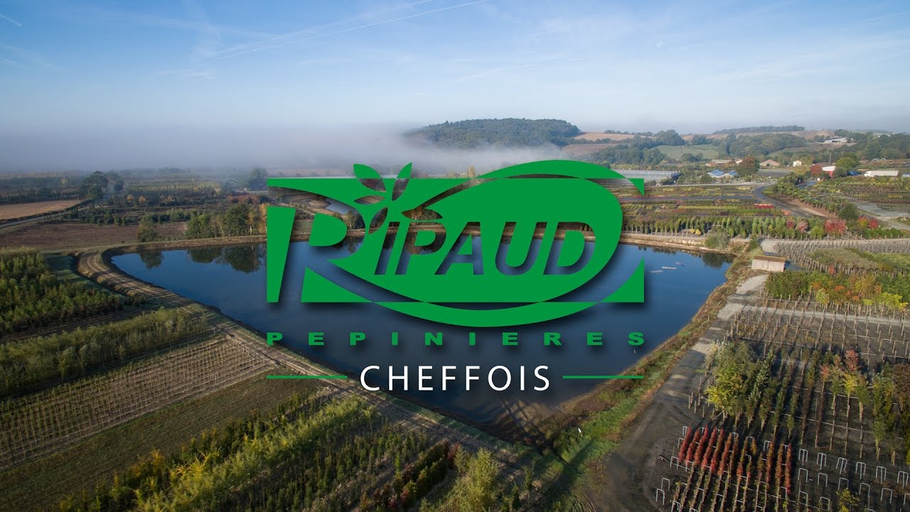 Ripaud P&eacute;pini&egrave;res Cheffois - Prenez de la hauteur !