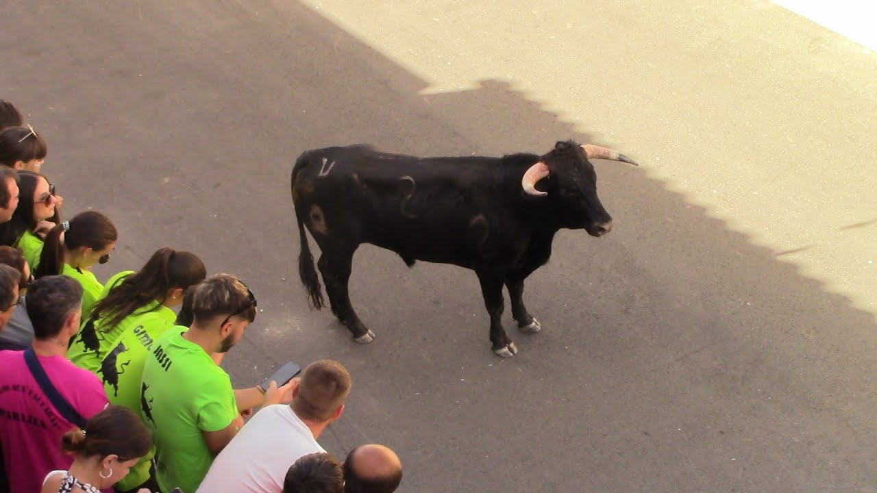Encierros y recortes por las calles de Mestanza (28-7-24)