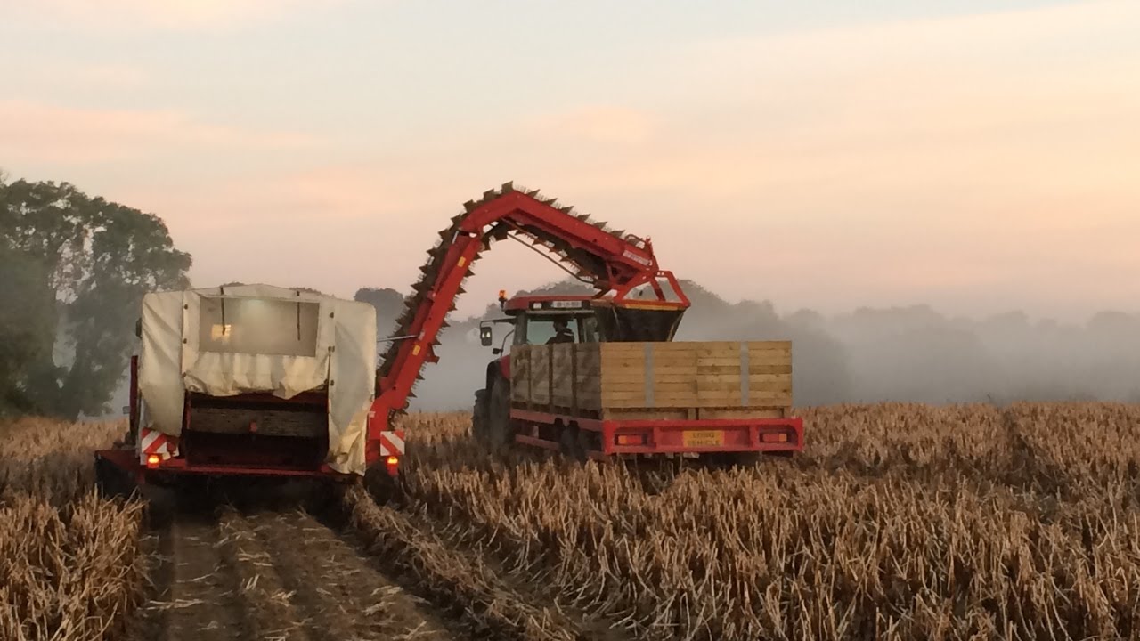 Meade Potato Co Farm to Fork Journey