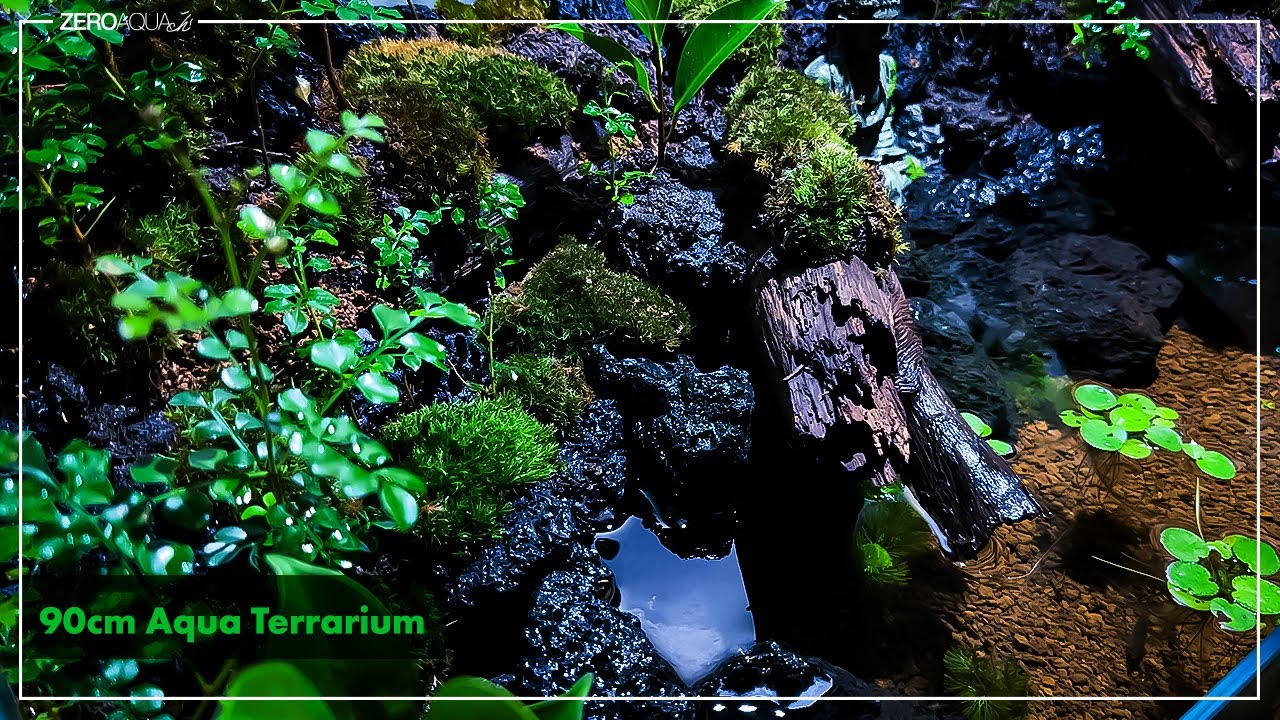 庭に自生した幼木で小さな森を作る /アクアテラリウム/シマトネリコ/aqua terrarium/90cm/vlog