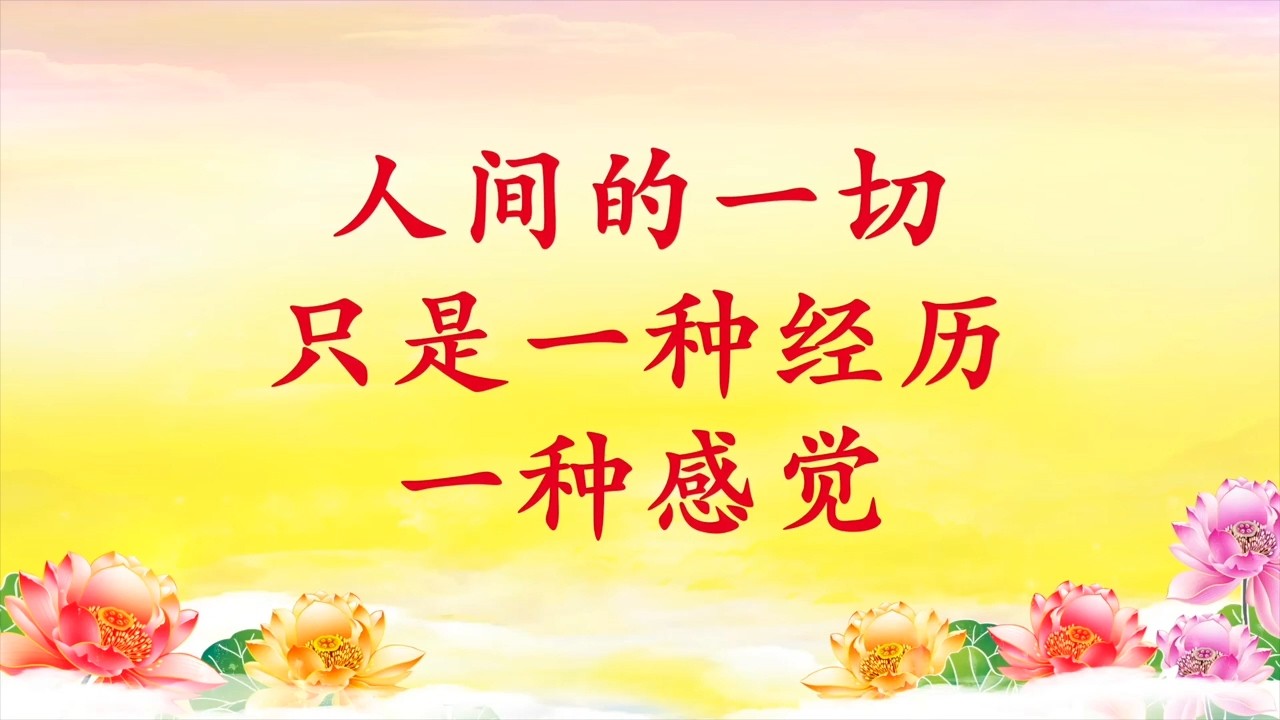 卢台长【人间的一切只是一种经历，一种感觉】白话佛法视频开示 第60集 节选