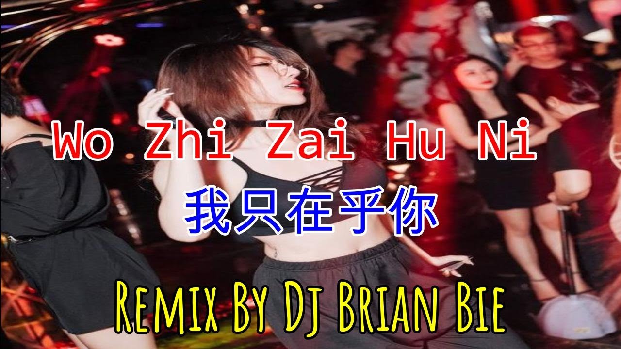 Wo Zhi Zai Hu Ni - 我只在乎你 (Electro Manyao) By Dj Brian Bie #dj抖音版2023