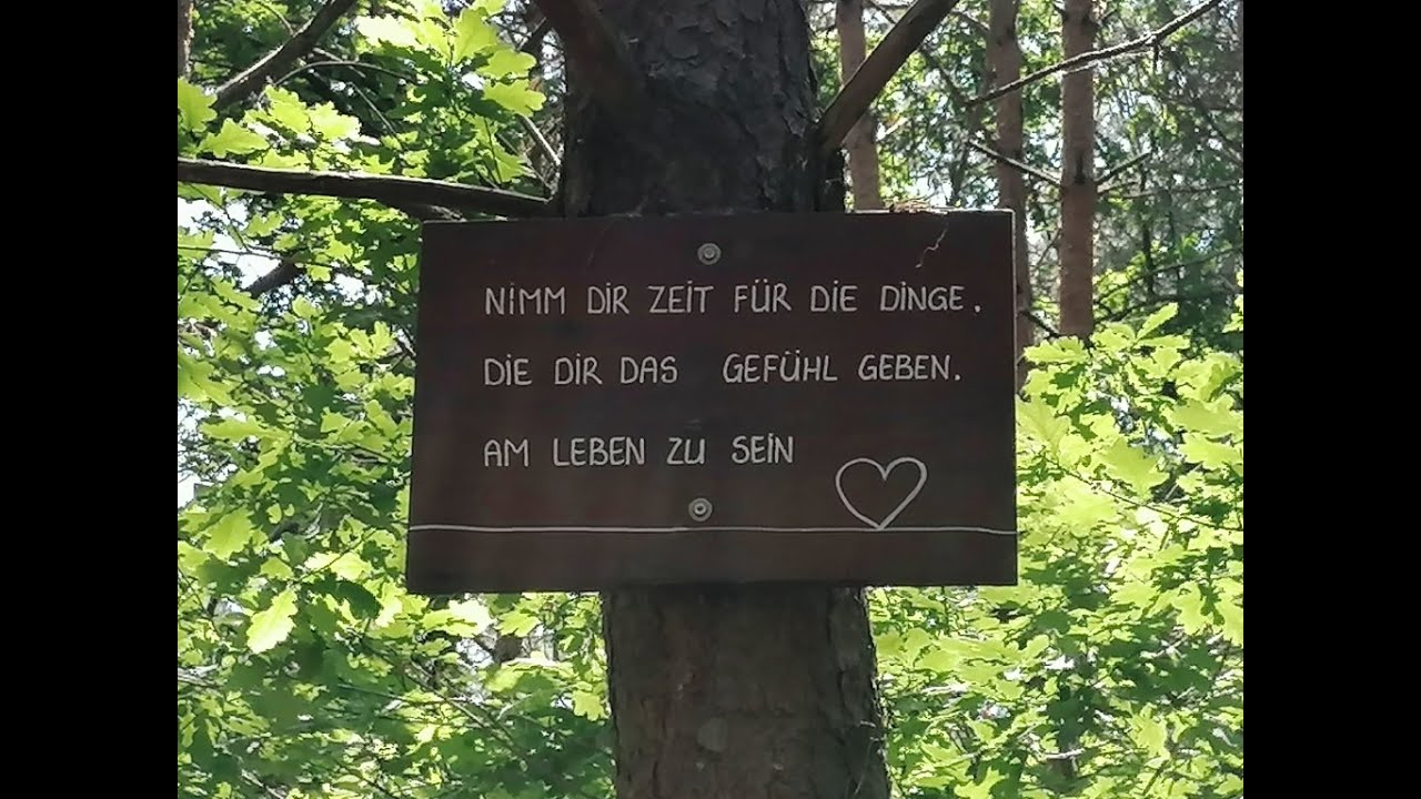 Achtsamkeitsreise in den Barfuß Park am 04.06.2023
