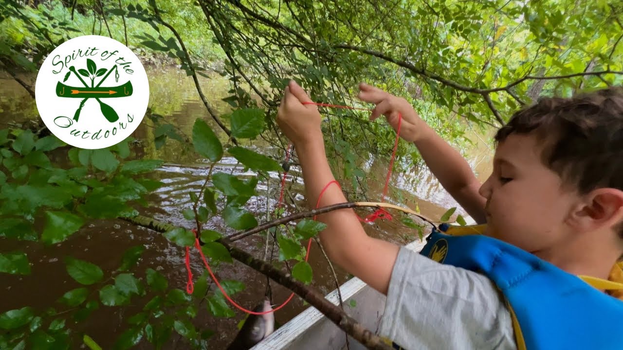 Running Bait Traps and putting Limb Hooks in the Swamp Out of a Canoe