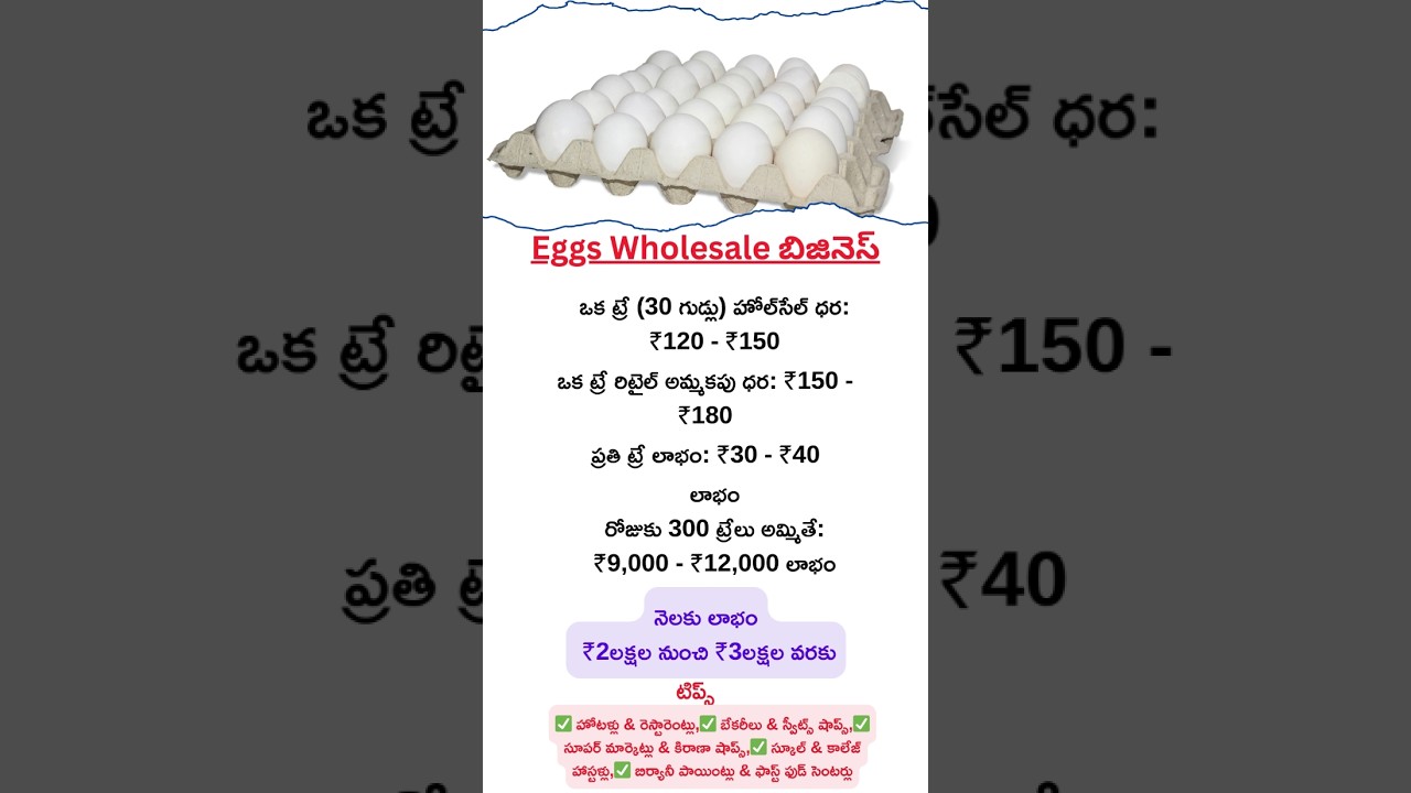 Best Telugu Business || Eggs Wholesale business | business Ideas Telugu | Startup Business #business