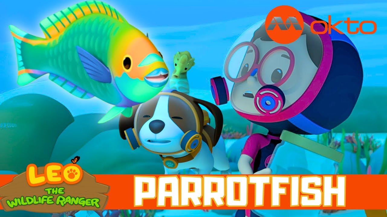 Swimming with THE PARROTFISH😦  | Leo the Wildlife Ranger Spinoff S7E01 | @mediacorpokto