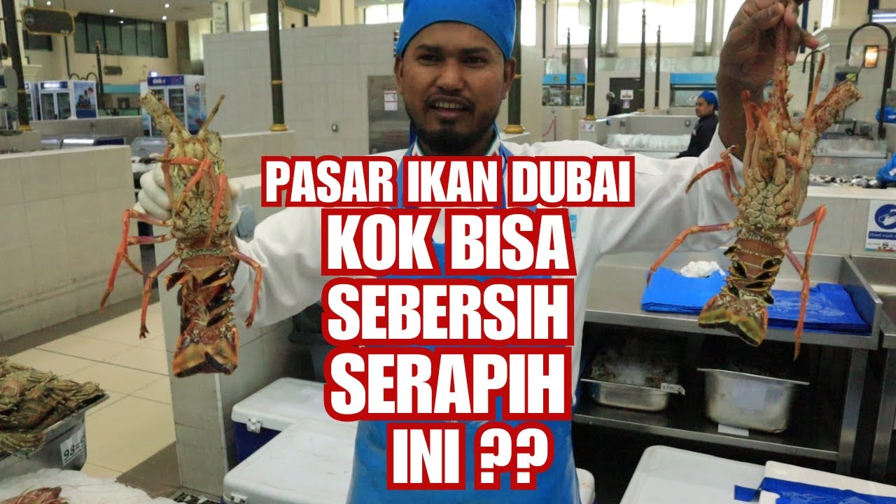 PASAR IKAN DUBAI, BENAR2 TERATUR DAN BERSIH BANGET  !