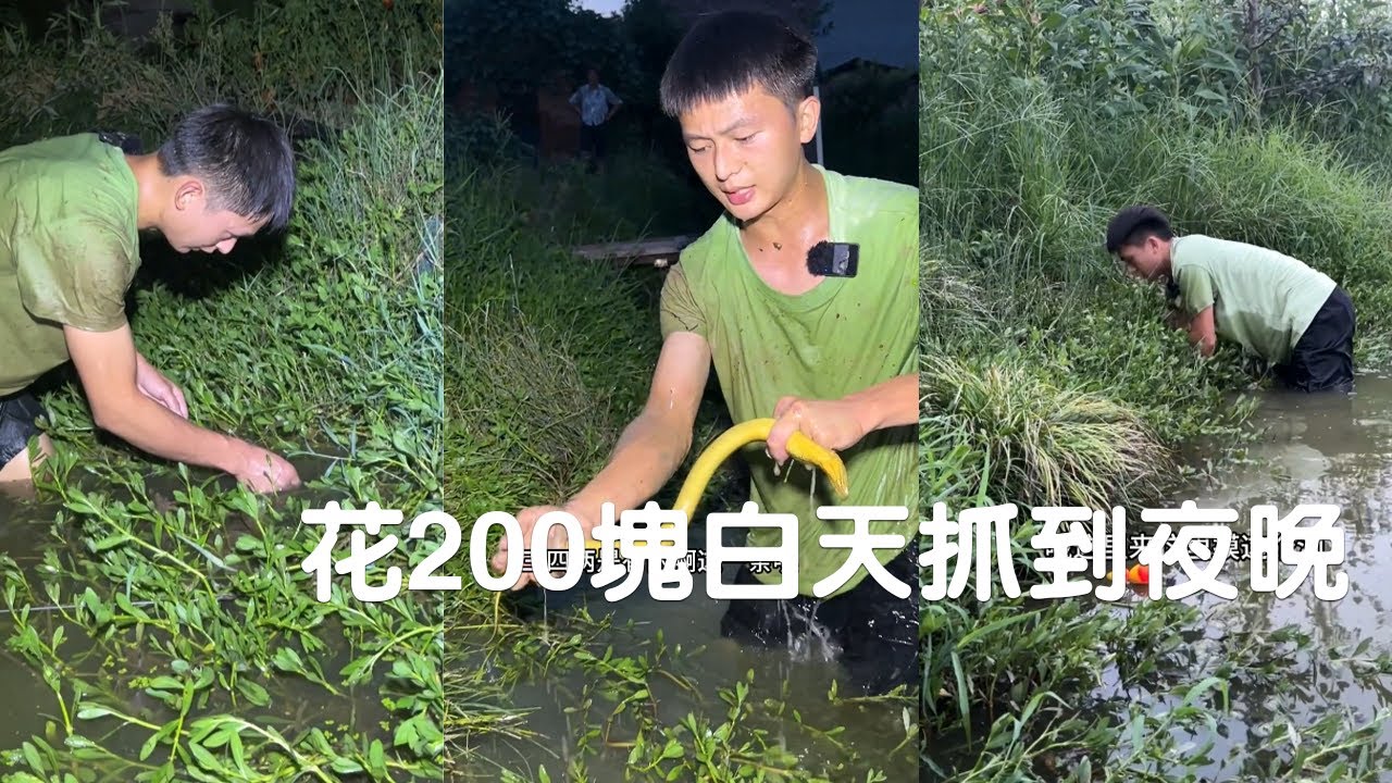 花200塊和面善的老板娘談下這個塘，從白天抓到晚上會有多大的收獲？ #捕魚 #viralvideo #熱門
