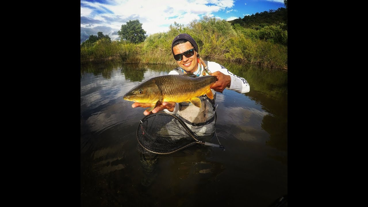 Fly Fishing Algarve 