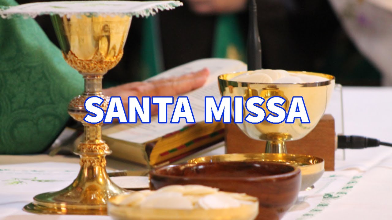 SANTA MISSA EM SEU LAR - 12-01-2026