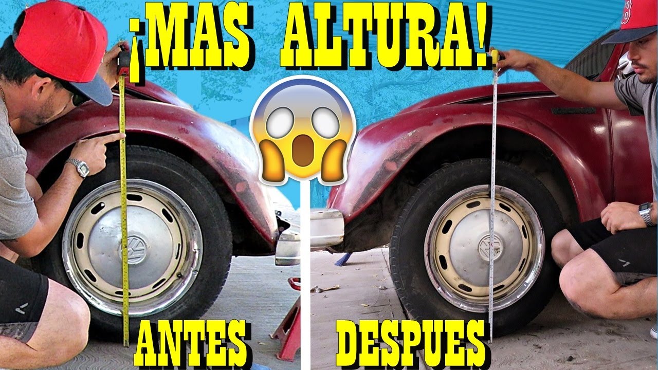 ASÍ LE DIMOS MAS ALTURA AL VOCHO PROYECTO NUEVO | De Tocho Morocho