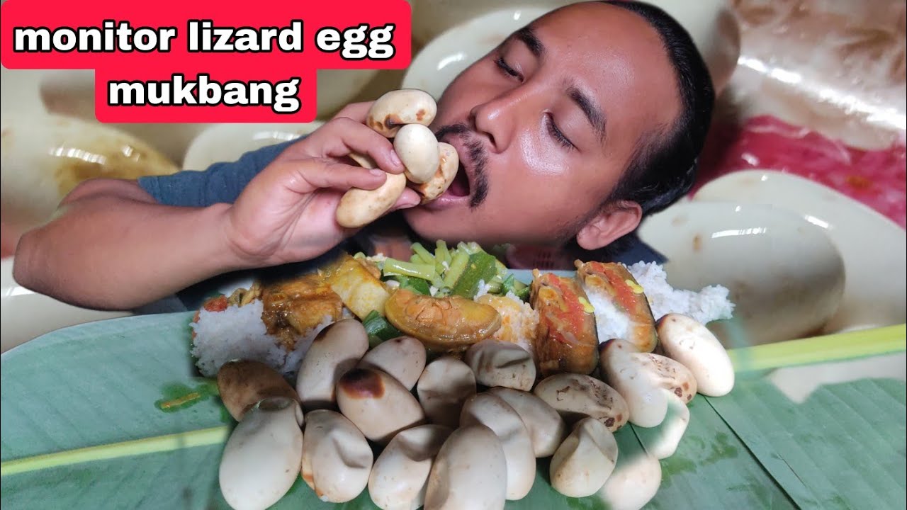 Eating delicious monitor lizard egg with pangas fish mukbang || hunting and mukbang