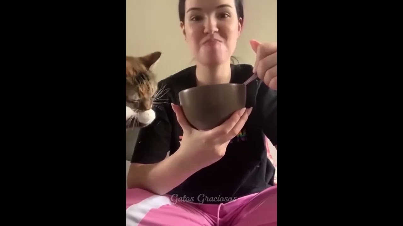 Приколы с животными.