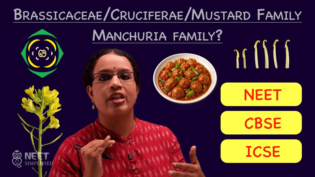 Brassicaceae Family Simplified | NEET Simplified