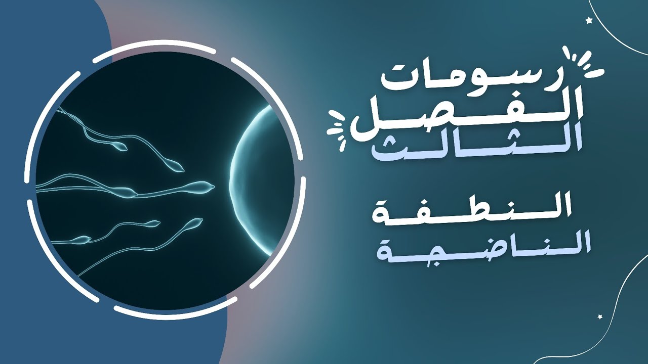 تعليم رسم | خطوات رسم النطفة الناضجة.