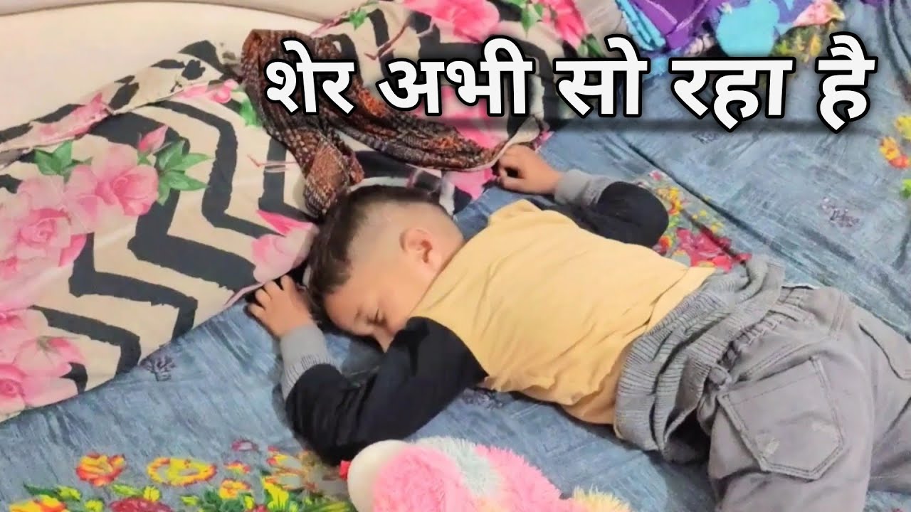 शेर अभी सो रहा है 🦁😂