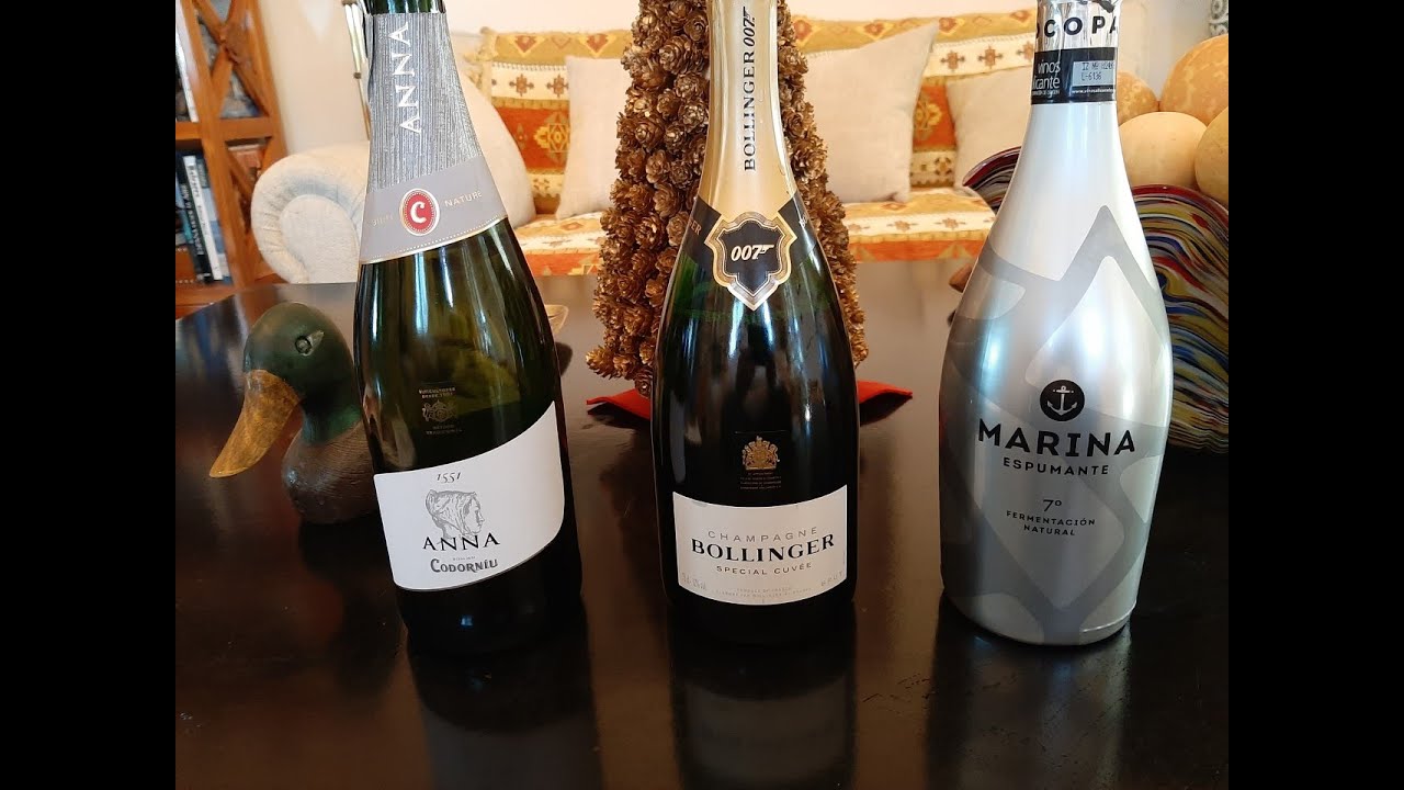 6 - Cata de espumosos. Cava, Champagne, espumante.